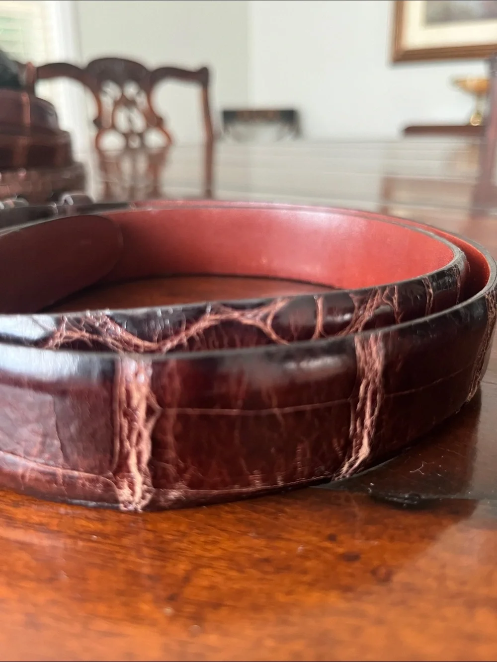 Men's American alligator Belt with Polished Silver Buckle